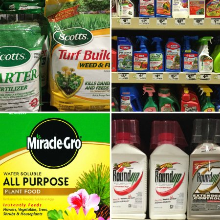 carcinogenic pesticides, toxic fertilizer, wecologist, wecology, cancer causing chemicals, prevent cancer, reduce toxins, protect bees, environmental health