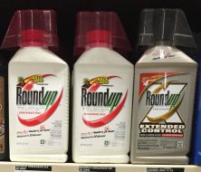 roundup home depotsmallbf