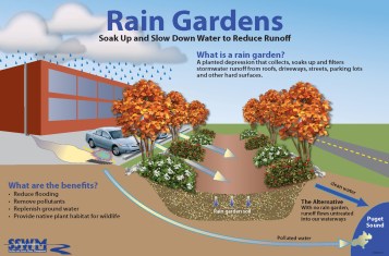 Raingarden_Commercial