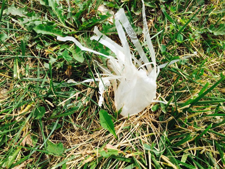 end litter, #endlitter, plastic litter, plastic pollution, wecology handbook, wecologist, wecology