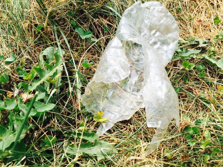 end litter, #endlitter, plastic litter, plastic pollution, wecologist, wecology, wecology handbook