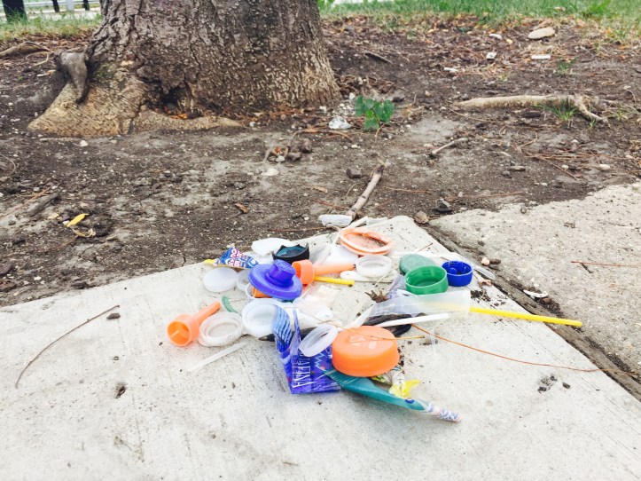 plastic litter, end litter, #endlitter, wecologist, wecology handbook, wecology