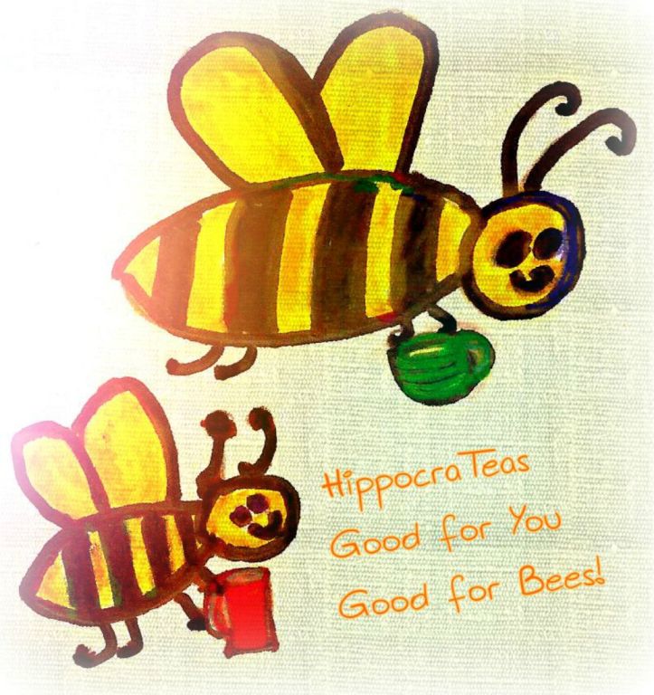 hippocrateas, wecologist, wecology lab, wecology handbook, wecology, organic tea, chicago tea