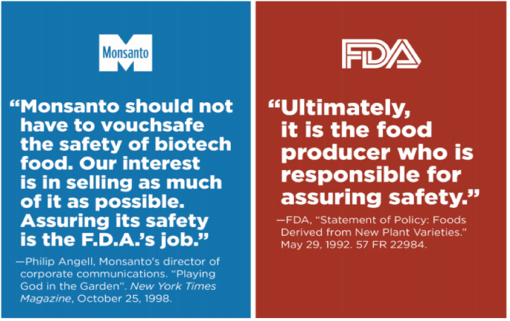 Seedy Business, US Right to Know, GMO food safety